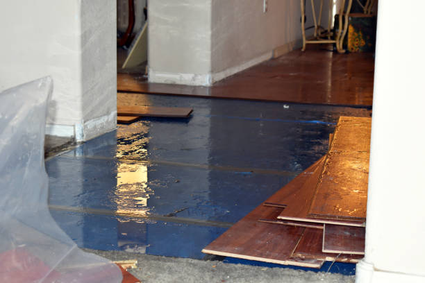 Professional Emergency Water Damage Restoration technician working in Wood River Junction, RI